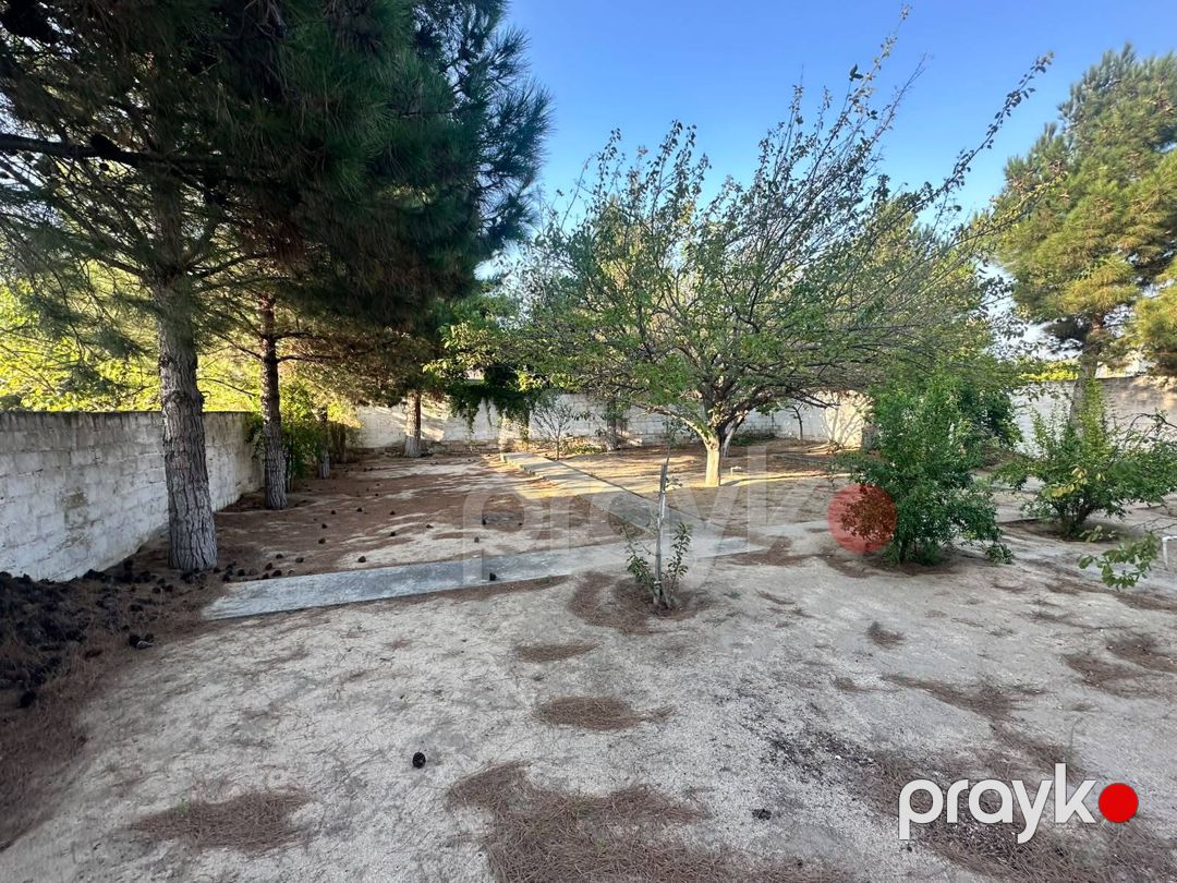 3 sot torpaq sahəsi, Novxanı qəs — Torpaq, Bakı (3)