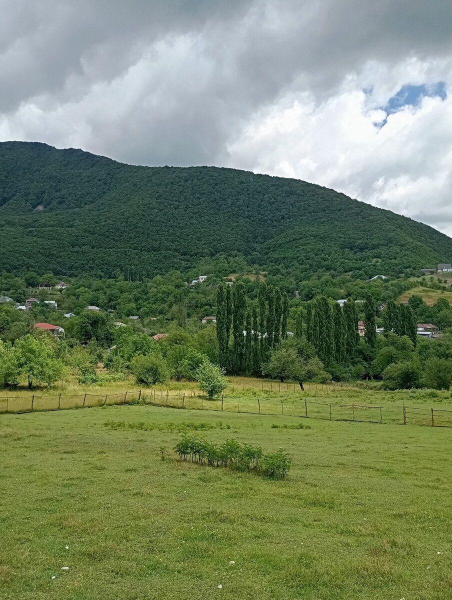 Bağ evi kirayə verilir, Şamaxı ş — Ev, villa, Şamaxı (12)