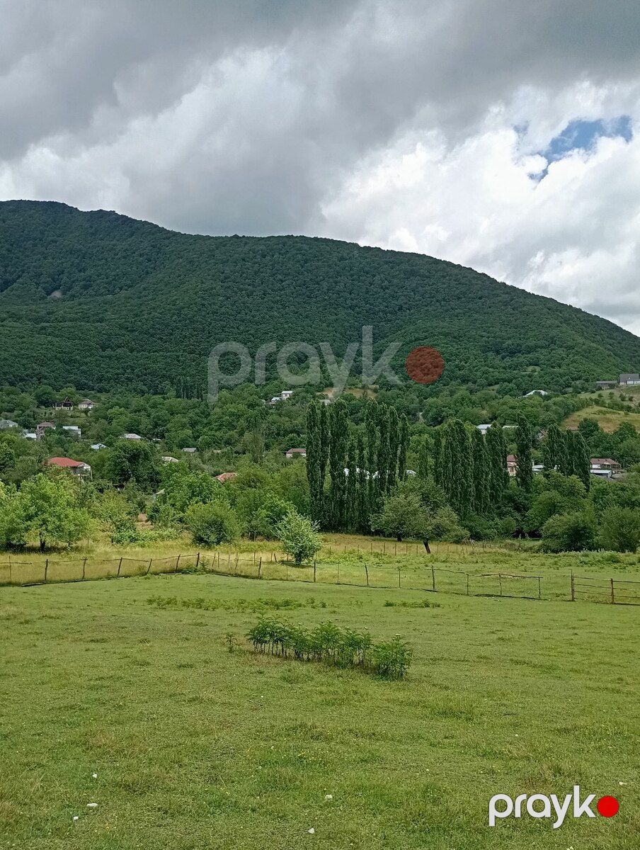 Bağ evi kirayə verilir, Şamaxı ş — Ev, villa, Şamaxı (12)