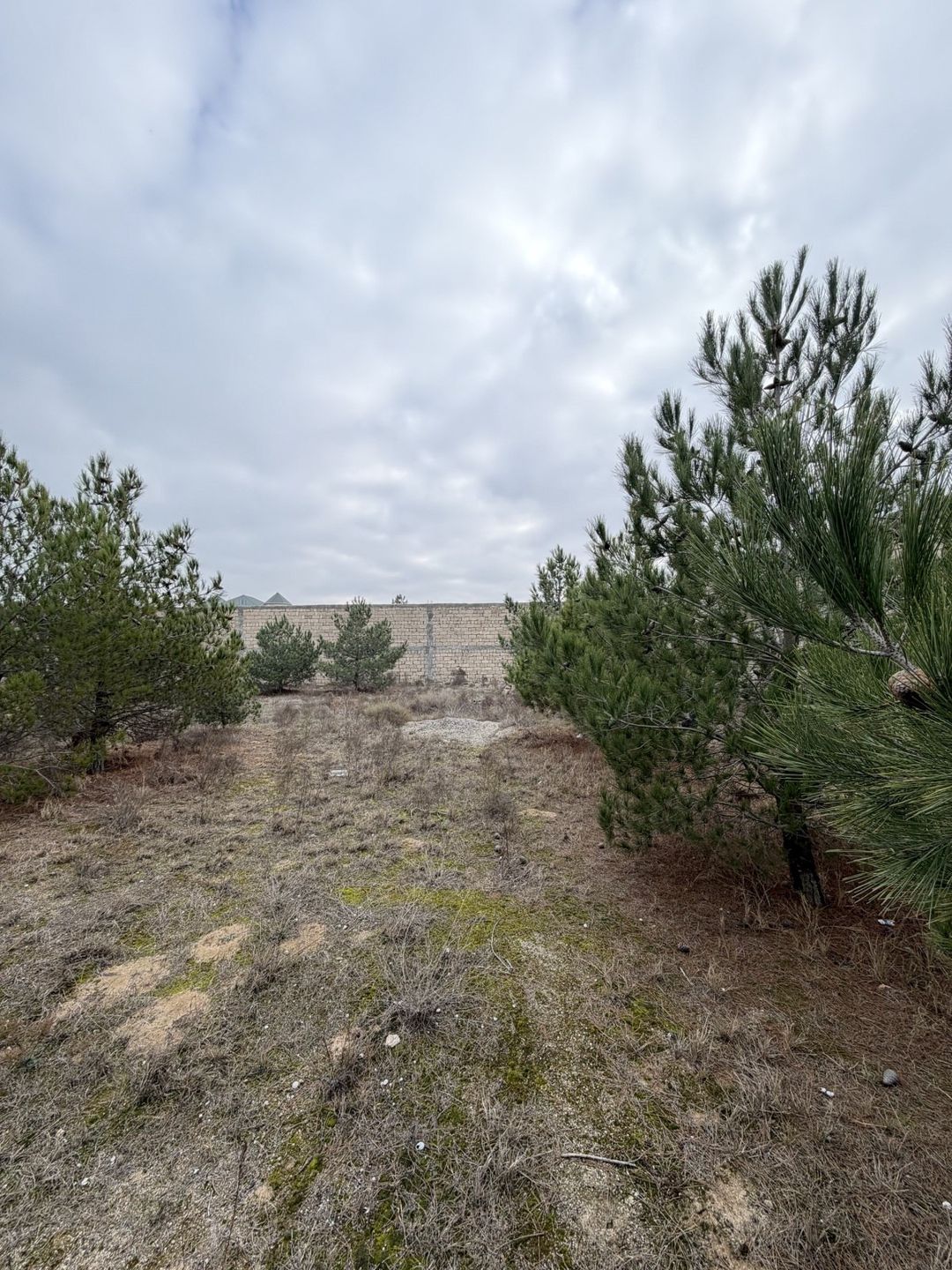 Satılır torpaq 9 sot — Torpaq, Bakı (10)