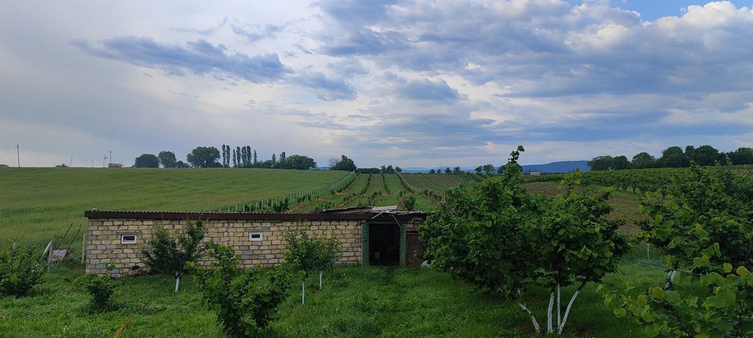Bağ evi, Quba r — Ev, villa, Quba (5)