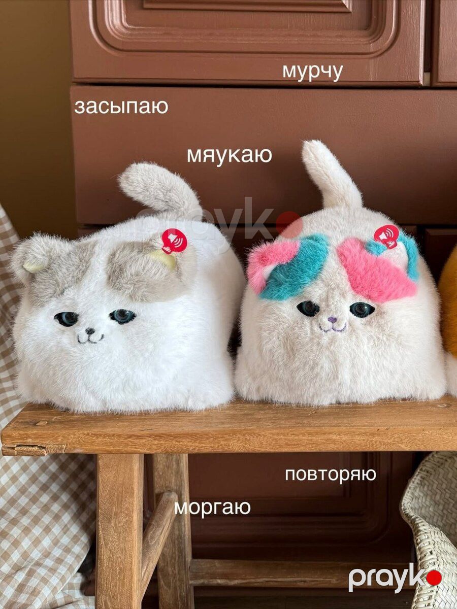 Oyuncaq pişik — Oyuncaqlar, Bakı (6)