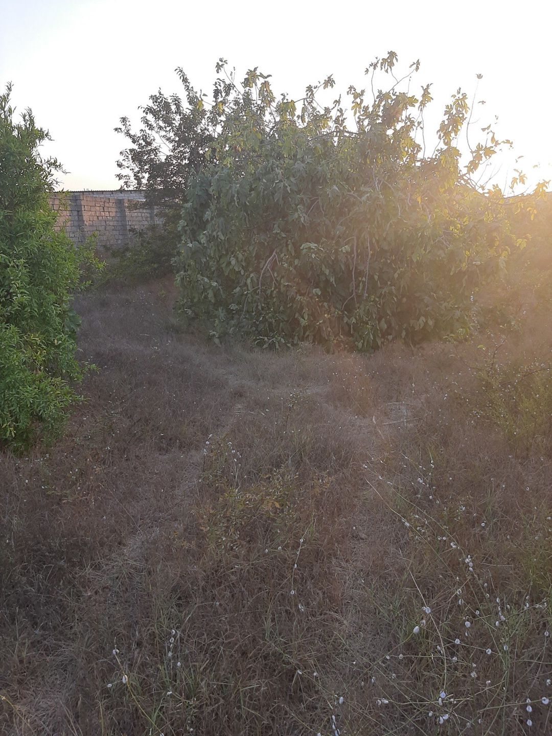 12 sot torpaq sahəsi, Nardaran qəs — Torpaq, Bakı (12)
