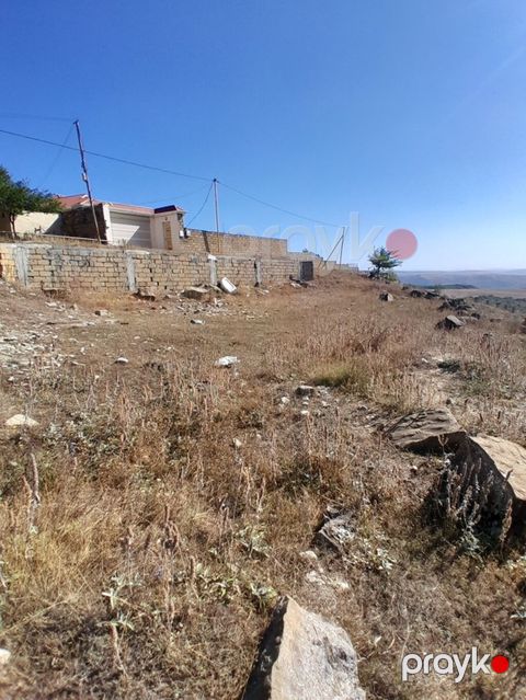 12 sot, Tikinti, Barter mümkündür, Kupça (Çıxarış) — Şamaxı