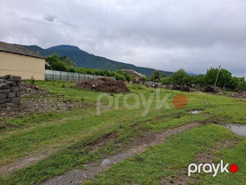 12 sot torpaq sahəsi, Zaqatala ş