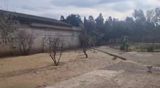 Satılır torpaq 21 sot — Elşən — Land plot