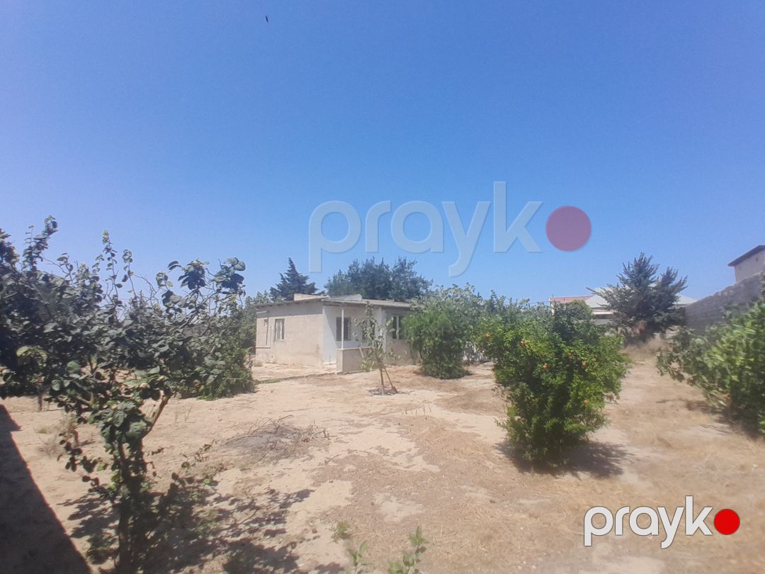 Satılır torpaq 12 sot — Torpaq, Bakı (9)