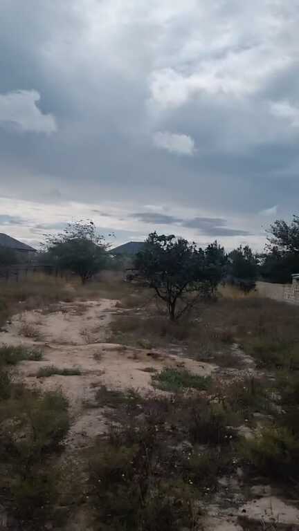 Satılır torpaq 25 sot — Torpaq, Bakı (2)