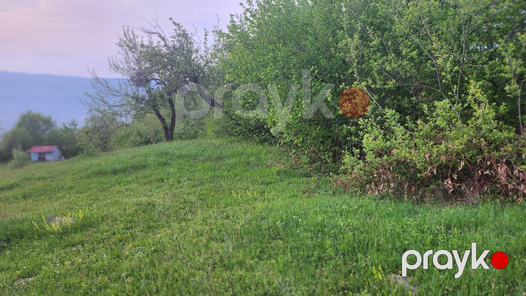 53 sot torpaq sahəsi, Quba r — Torpaq, Quba (3)