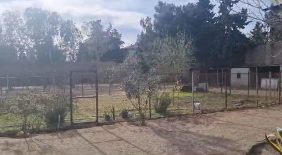 Satılır torpaq 21 sot — Torpaq, Bakı (2)
