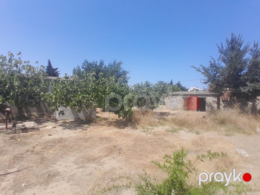 Satılır torpaq 12 sot — Torpaq, Bakı (10)