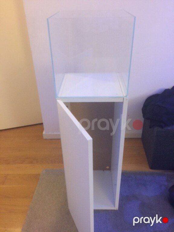 Akvarium altlığı — Akvariumlar və balıqlar, Bakı (6)
