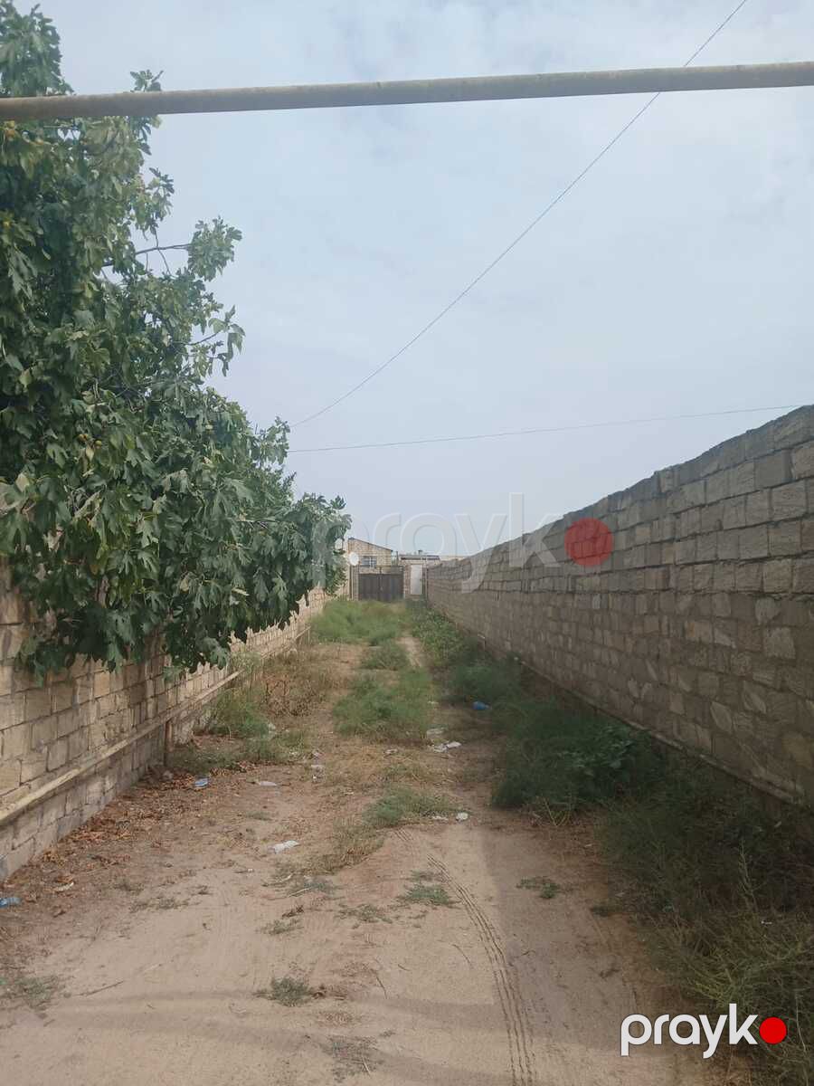 Satılır torpaq 12 sot — Torpaq, Bakı (2)