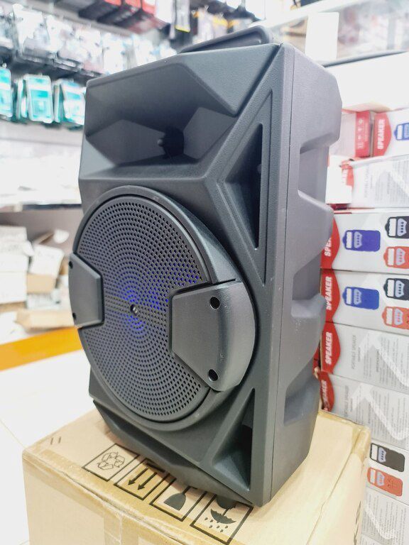 Bluetooth karaoke mikrofonlu dinamik — Səs texnikası, Bakı (2)