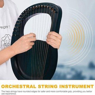Lira 16 simli — Musiqiə alətləri, Bakı (9)