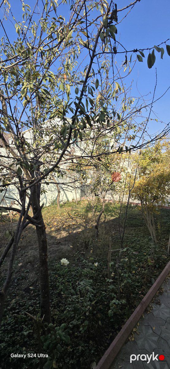 Satılır 5 otaqlı həyət evi/bağ evi 240 m² — Ev, villa, Bakı (4)