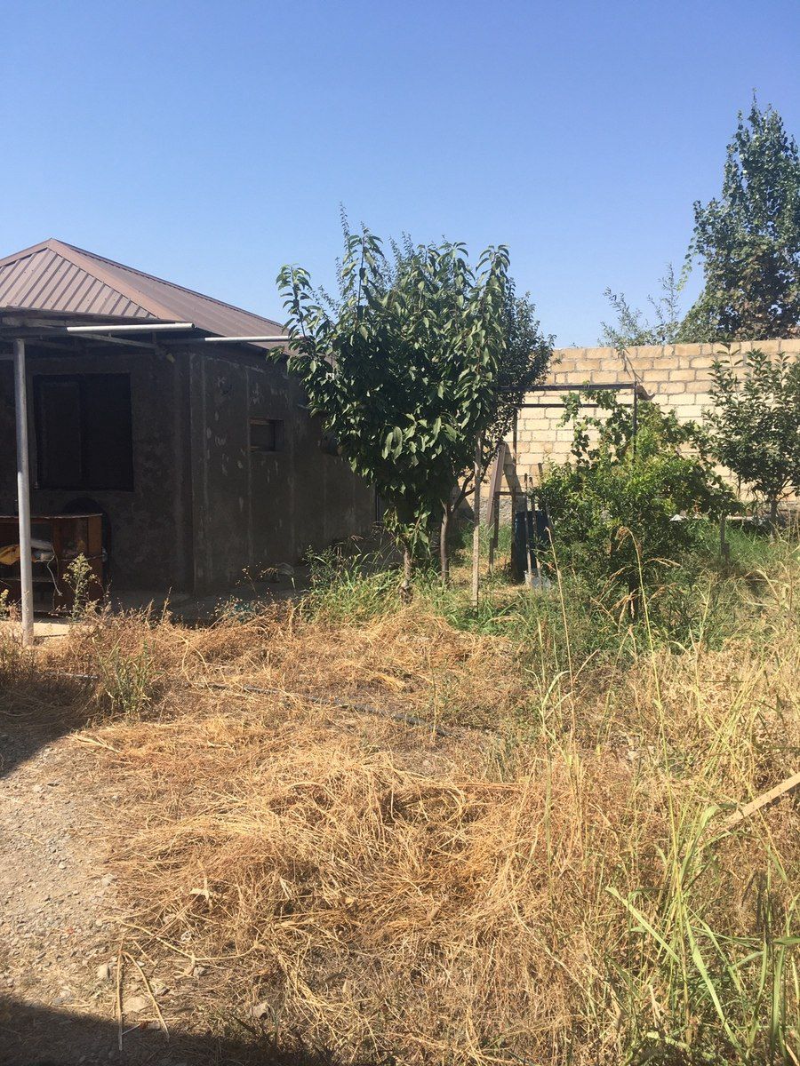 1-otaqlı yeni tikili, Şəmkir r., 60 m² — Mənzil, Şəmkir (8)