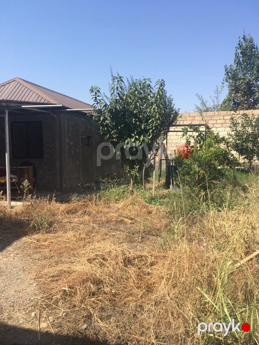 1-otaqlı yeni tikili, Şəmkir r., 60 m² — Mənzil, Şəmkir (8)