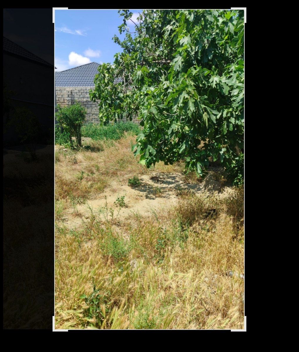 3.5 sot torpaq sahəsi, Suraxanı r — Torpaq, Bakı (2)