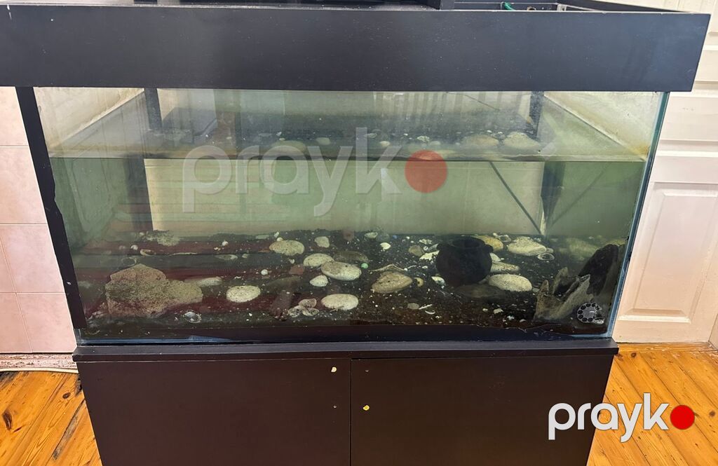 Akvarium-şkaf, Balıqlarla birlikdə, 200 l, Ünvandan götürmə — Akvariumlar və balıqlar, Bakı (2)