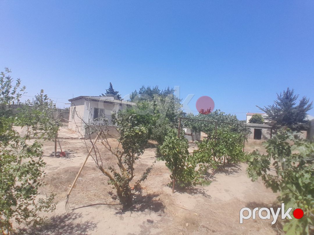 Satılır torpaq 12 sot — Torpaq, Bakı (11)