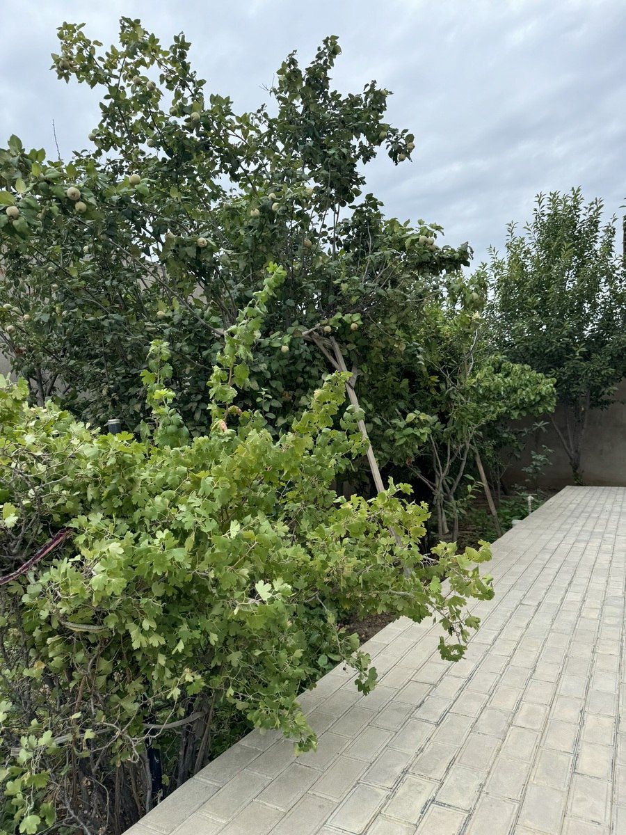 Satılır 6 otaqlı həyət evi/bağ evi 300 m² — Ev, villa, Bakı (12)