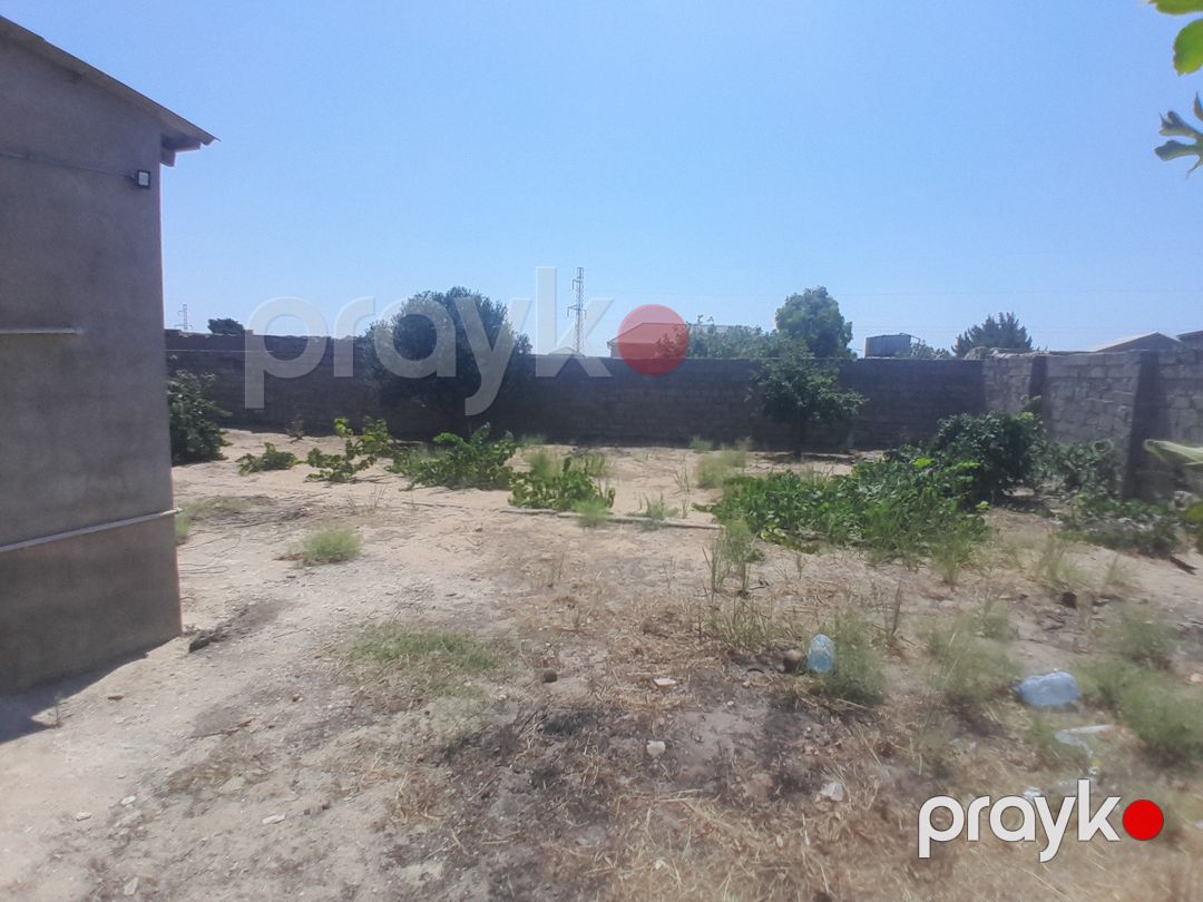 Satılır torpaq 12 sot — Torpaq, Bakı (4)