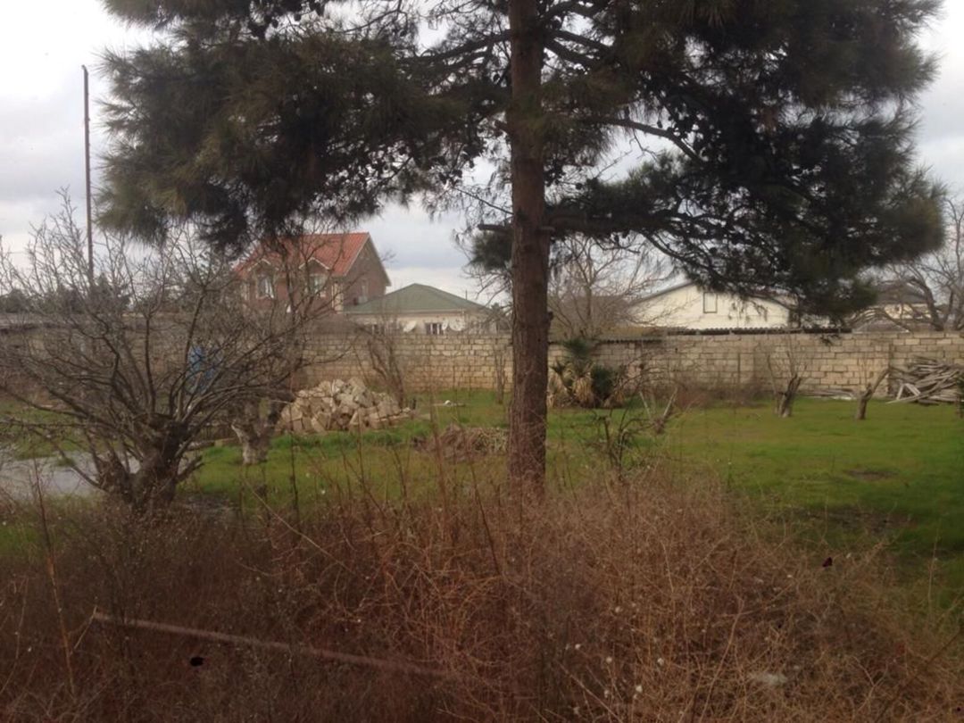 Satılır torpaq 15 sot — Torpaq, Bakı (11)