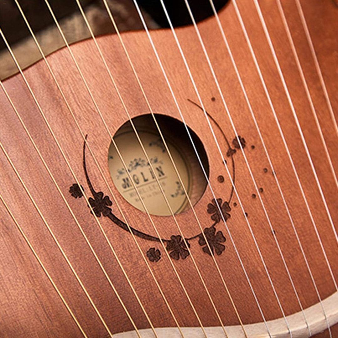 Lira 16 simli — Musiqiə alətləri, Bakı (5)