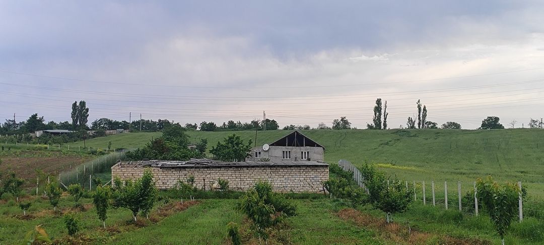 Bağ evi, Quba r — Ev, villa, Quba (7)