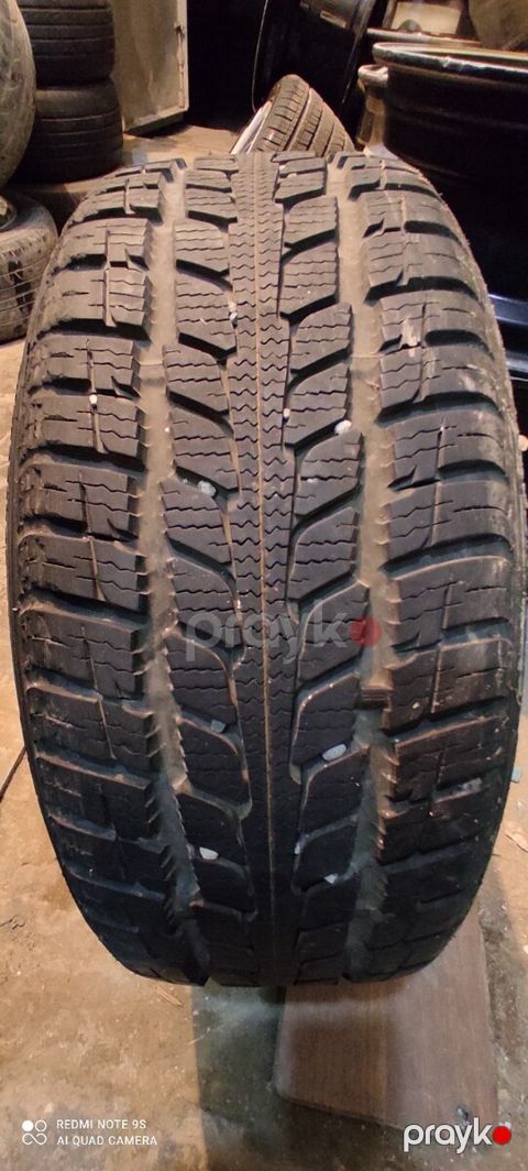 Şinlər 195/55 R15