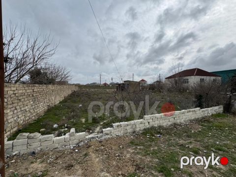 12 sot torpaq sahəsi, Qala qəs