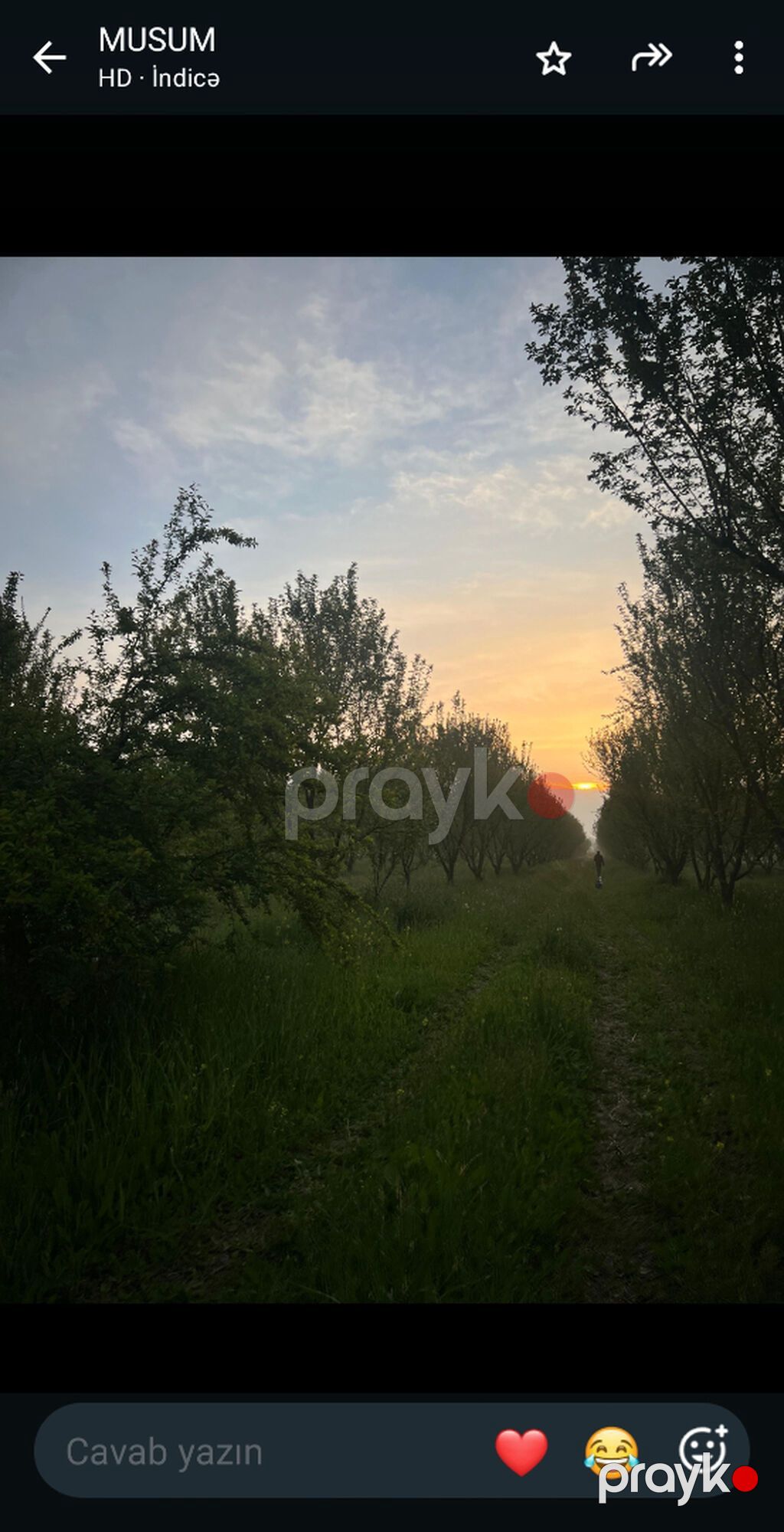 200 sot, Mülkiyyətçi, Kupça (Çıxarış) — Torpaq, Göyçay (3)