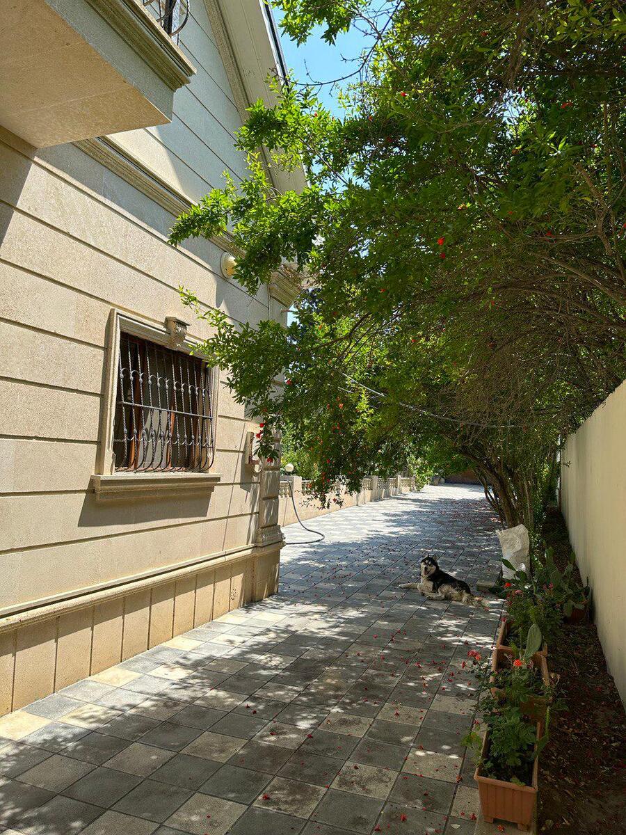 İcarəyə verilir 3 otaqlı həyət evi/bağ evi 220 m² — Ev, villa, Bakı (5)