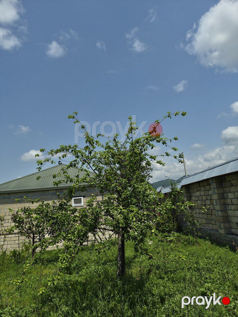 Həyət evi kirayə verilir, İsmayıllı r — Ev, villa, İsmayıllı (7)
