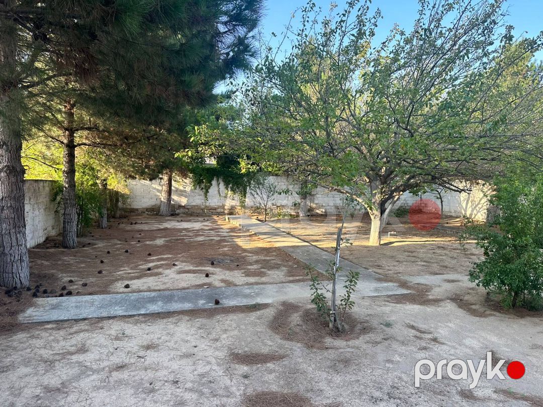 3 sot torpaq sahəsi, Novxanı qəs — Torpaq, Bakı (2)