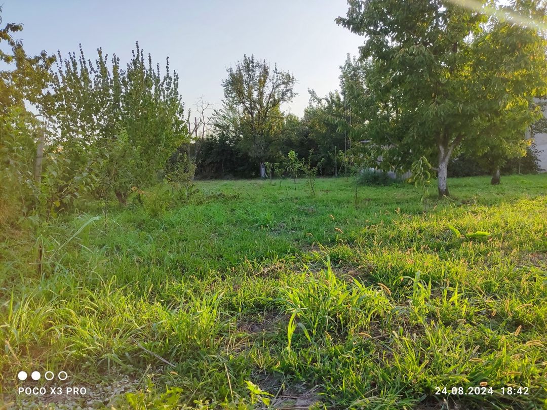 Satılır 4 otaqlı həyət evi/bağ evi 120 m² — Ev, villa, Xaçmaz (12)