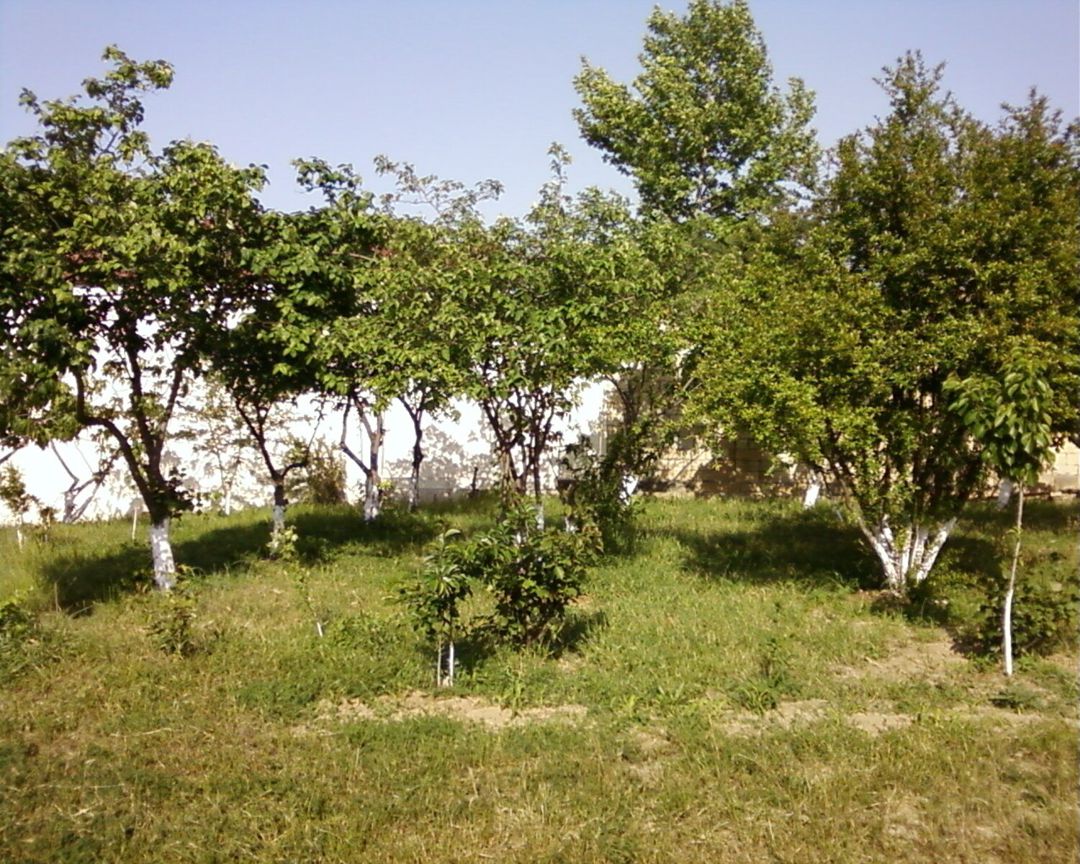 Satılır torpaq 18 sot — Torpaq, Bakı (2)