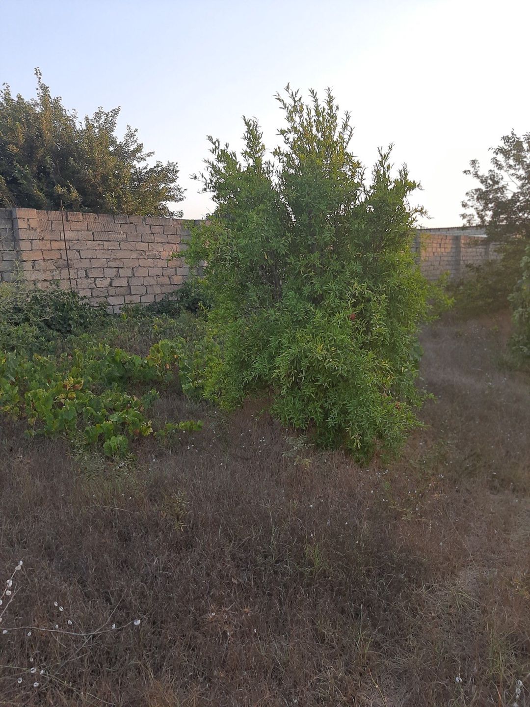 12 sot torpaq sahəsi, Nardaran qəs — Torpaq, Bakı (4)