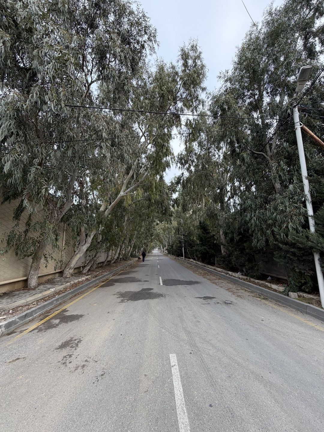 Satılır torpaq 9 sot — Torpaq, Bakı (5)