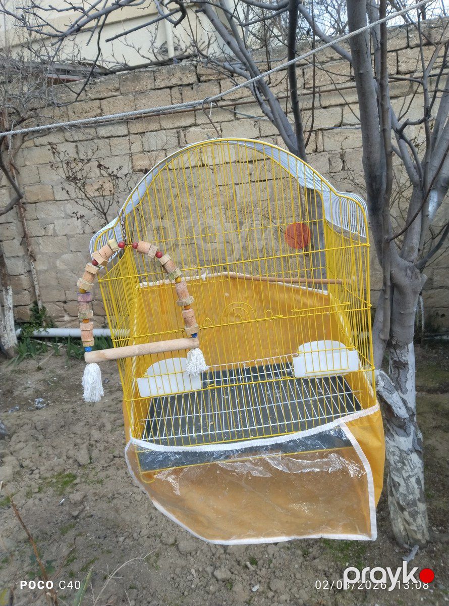 Qəfəs — Heyvan malları, Bakı