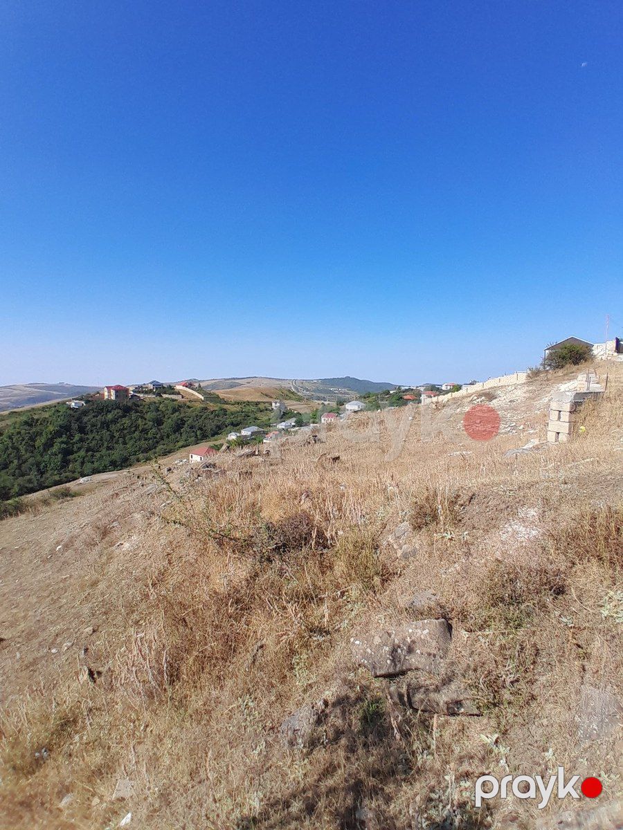 12 sot torpaq sahəsi, Şamaxı r — Torpaq, Şamaxı (3)