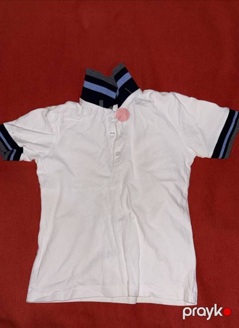Polo — Bakı
