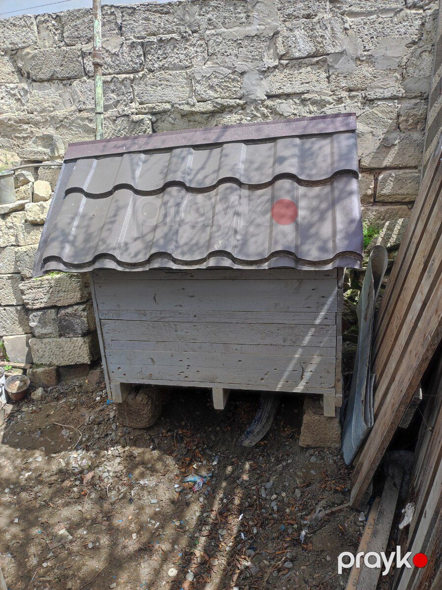 İt yuvası — Heyvan malları, Bakı (3)