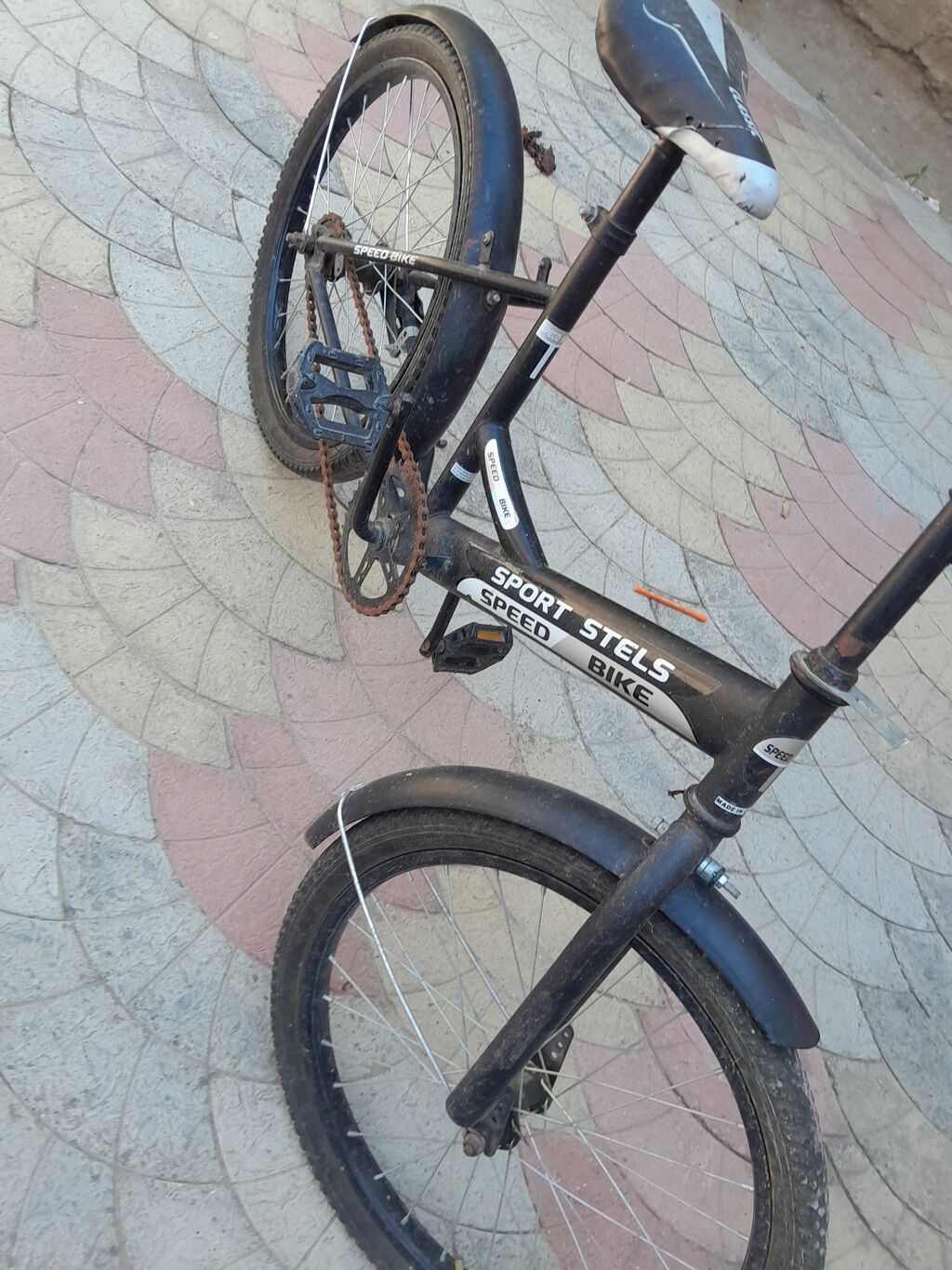 Uşaq/yeniyetmə velosipedi – Stels Sport Speed Bike - Çərçivə: möhkəm — Uşaq velosipedləri, Masazır (2)