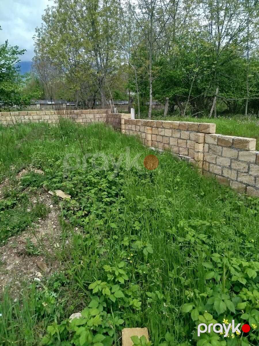 Satılır torpaq 3 sot — Torpaq, Qəbələ (4)