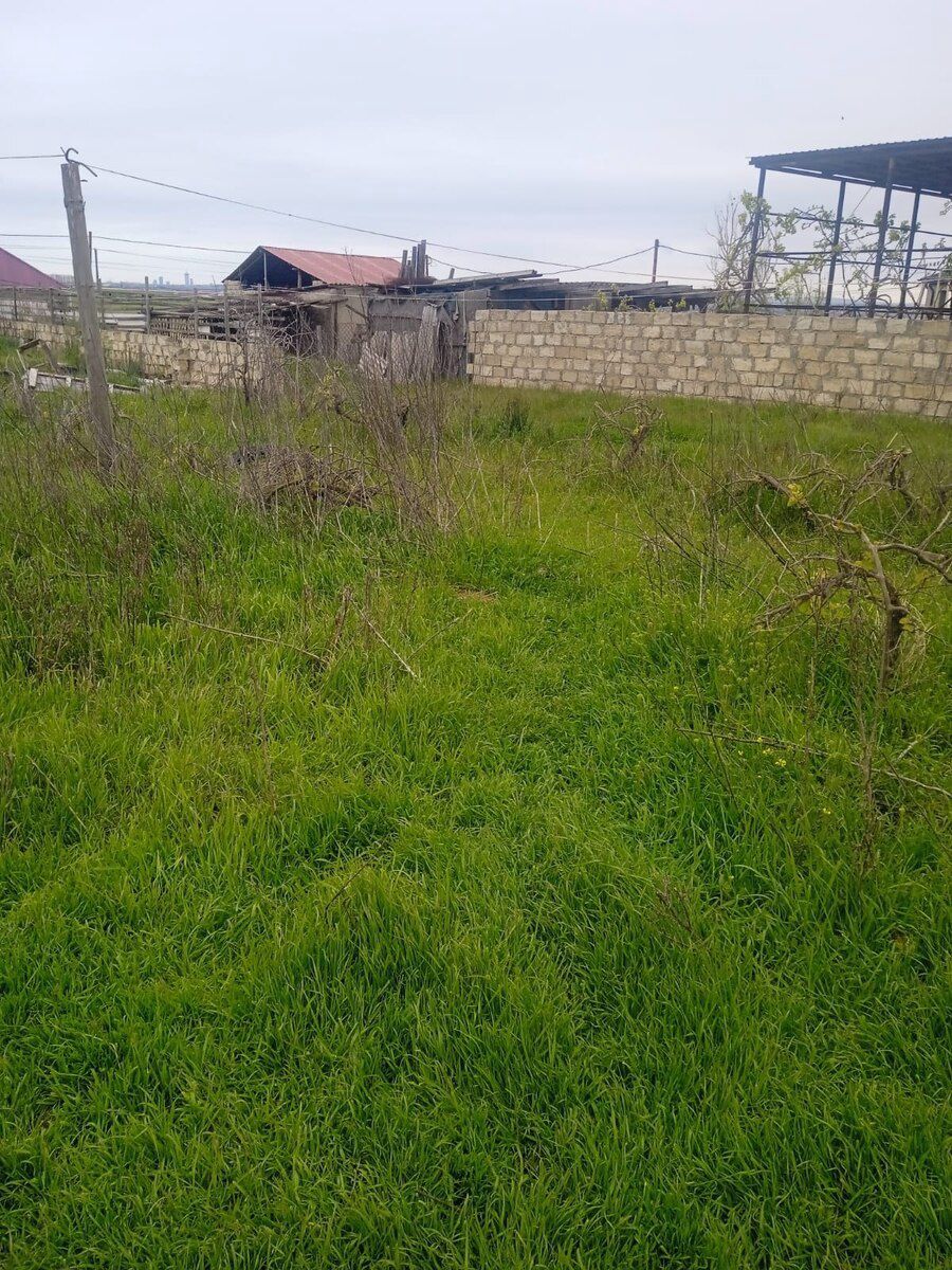 10 sot torpaq sahəsi, Maştağa qəs — Torpaq, Bakı (3)