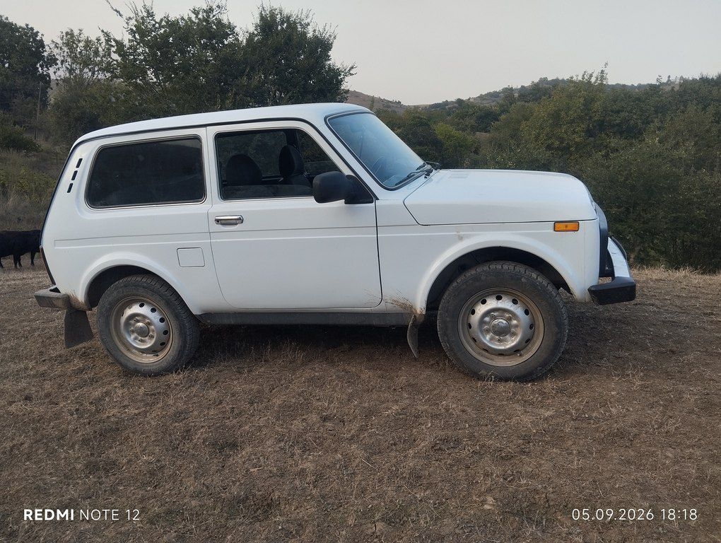 Lada (VAZ) Niva, 1.7 L, 2013 il, 295 000 km — Avtomobillər, Lerik (2)