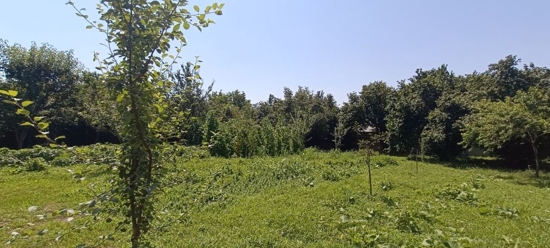 15 sot torpaq sahəsi, Qəbələ ş — Torpaq, Qəbələ (10)
