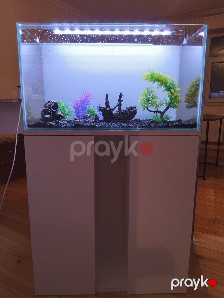 Akvarium altlığı — Akvariumlar və balıqlar, Bakı (3)